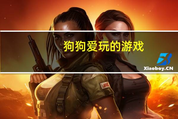 狗狗爱玩的游戏