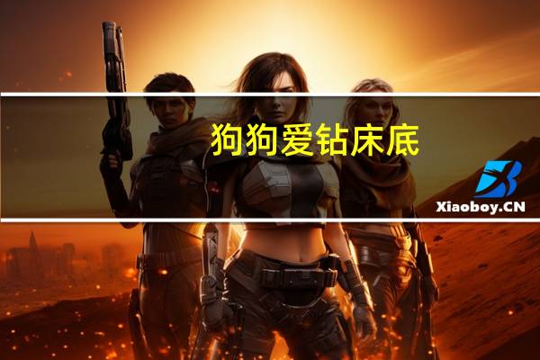 狗狗爱钻床底