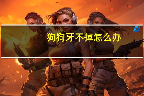 狗狗牙不掉怎么办