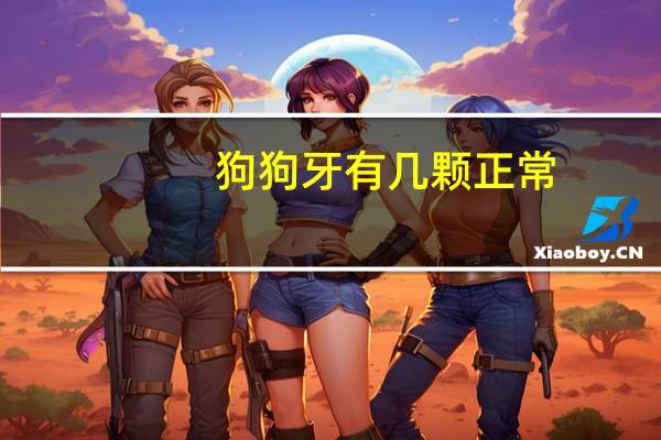 狗狗牙有几颗正常