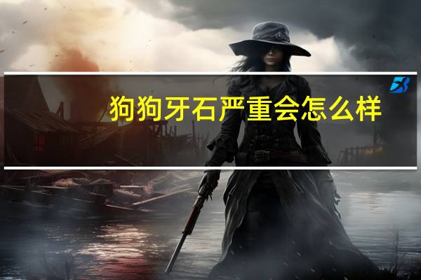 狗狗牙石严重会怎么样