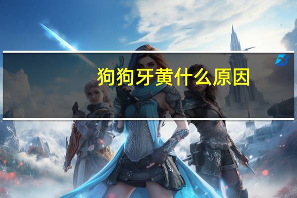 狗狗牙黄什么原因