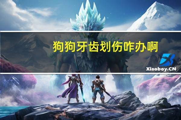 狗狗牙齿划伤咋办啊