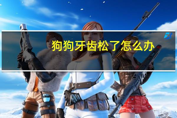 狗狗牙齿松了怎么办