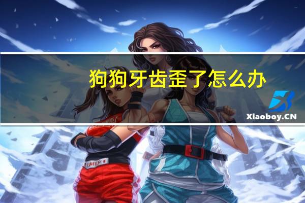 狗狗牙齿歪了怎么办