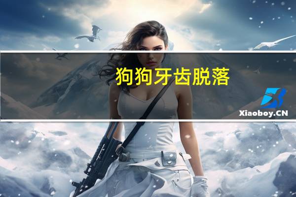 狗狗牙齿脱落