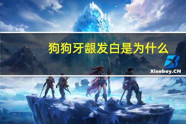 狗狗牙龈发白是为什么