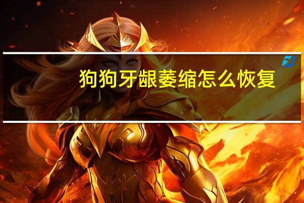 狗狗牙龈萎缩怎么恢复