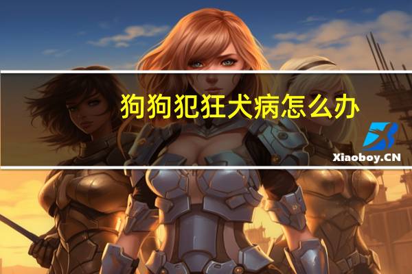 狗狗犯狂犬病怎么办