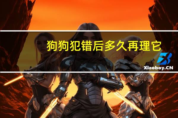 狗狗犯错后多久再理它