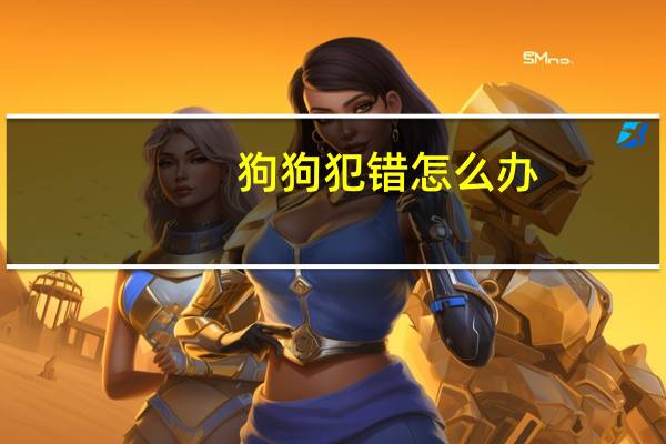 狗狗犯错怎么办