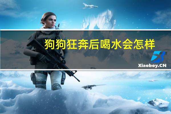 狗狗狂奔后喝水会怎样