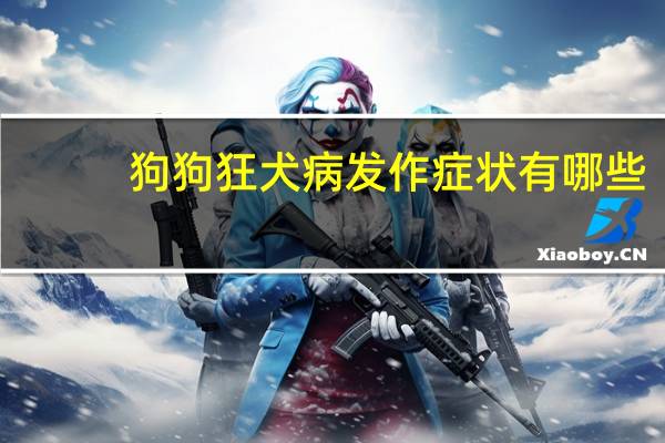 狗狗狂犬病发作症状有哪些