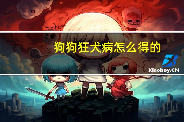 狗狗狂犬病怎么得的