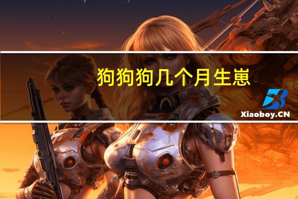 狗狗狗几个月生崽