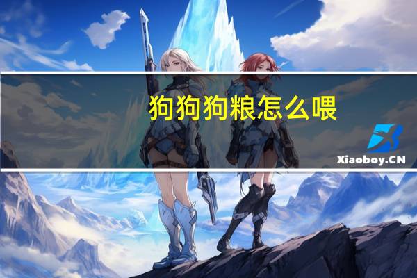 狗狗狗粮怎么喂