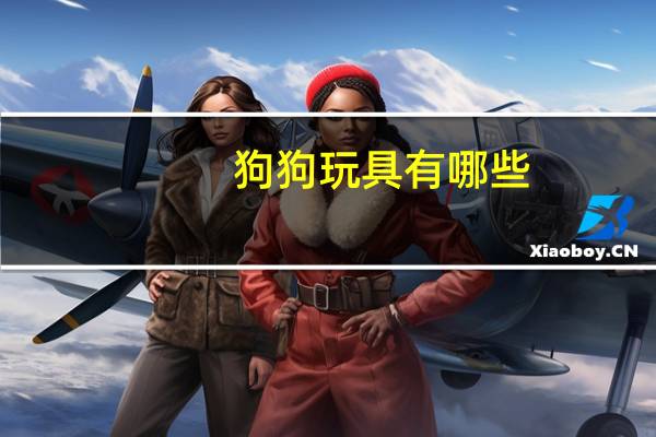 狗狗玩具有哪些