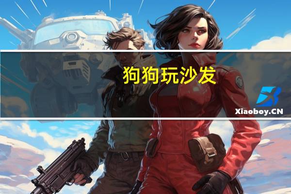 狗狗玩沙发