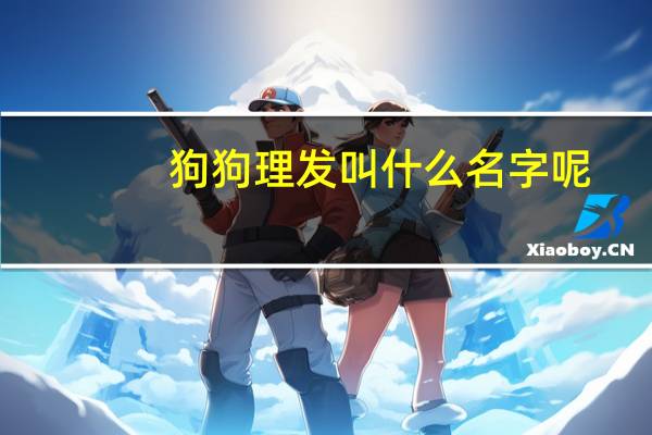 狗狗理发叫什么名字呢