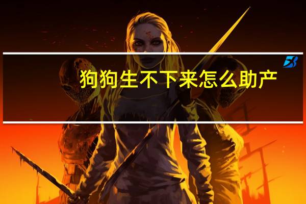 狗狗生不下来怎么助产
