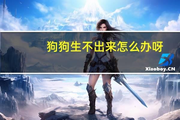 狗狗生不出来怎么办呀