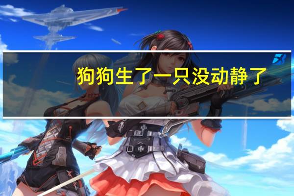 狗狗生了一只没动静了