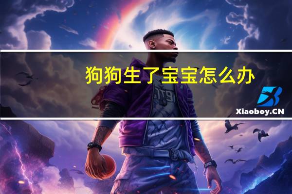 狗狗生了宝宝怎么办