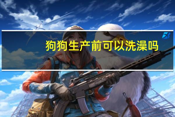 狗狗生产前可以洗澡吗