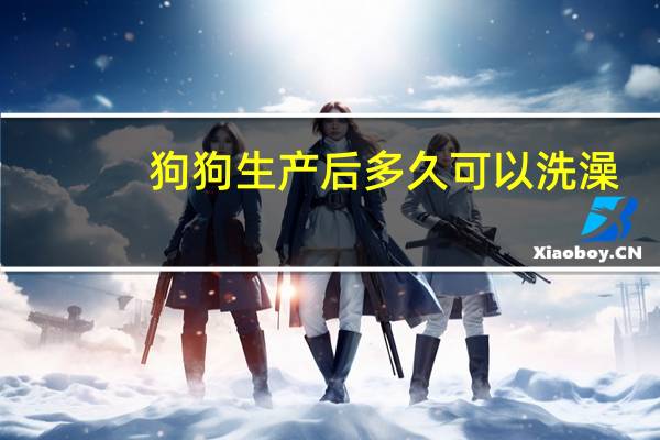 狗狗生产后多久可以洗澡