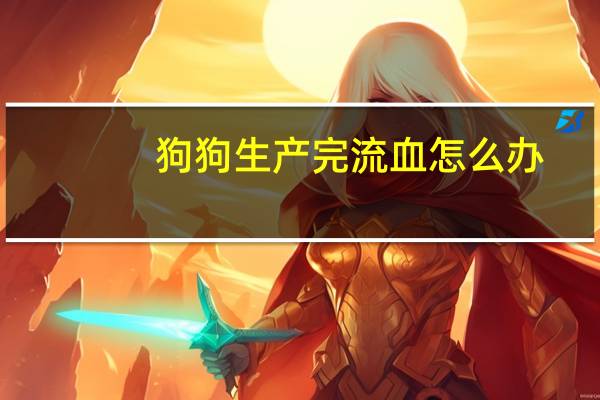 狗狗生产完流血怎么办