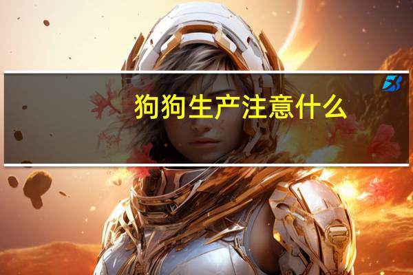 狗狗生产注意什么