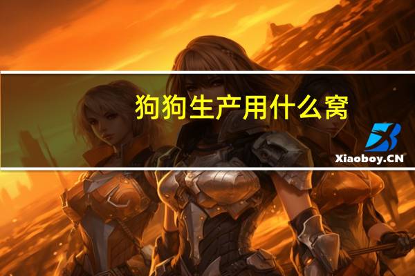 狗狗生产用什么窝