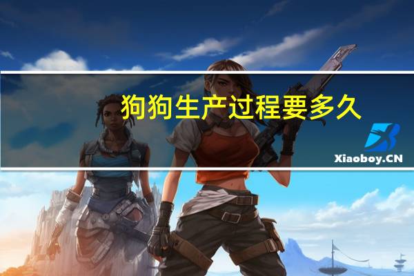 狗狗生产过程要多久