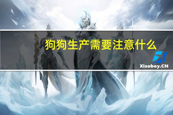 狗狗生产需要注意什么