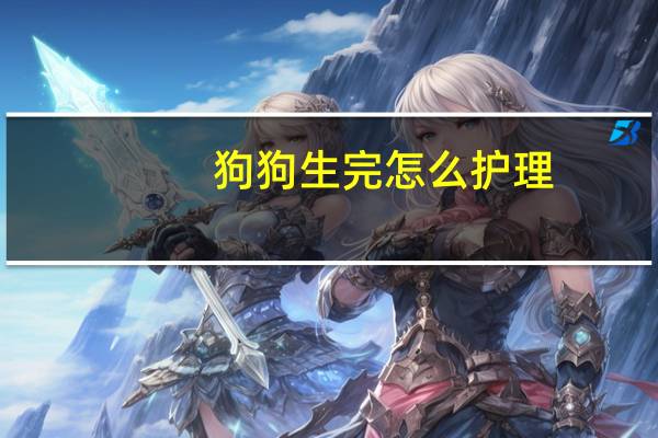 狗狗生完怎么护理
