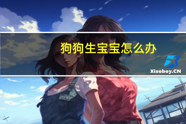 狗狗生宝宝怎么办