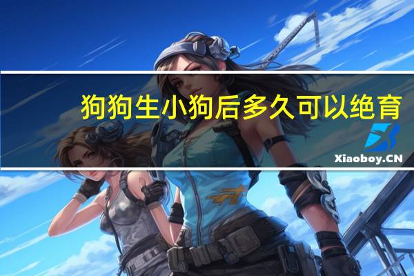 狗狗生小狗后多久可以绝育