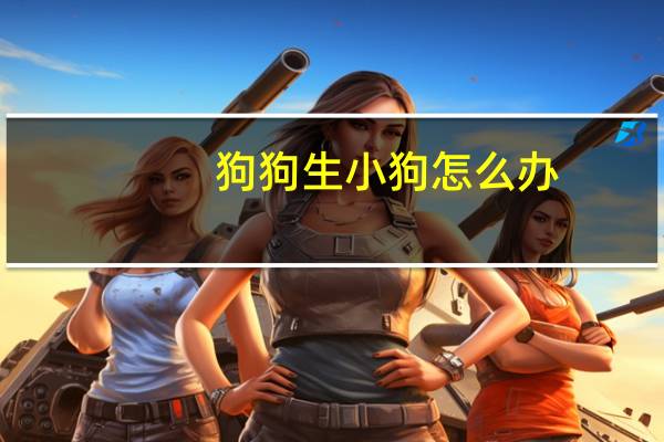 狗狗生小狗怎么办