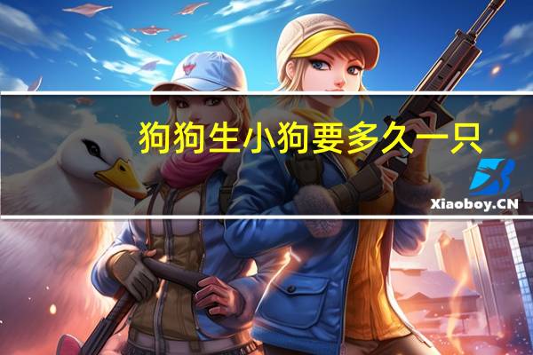 狗狗生小狗要多久一只