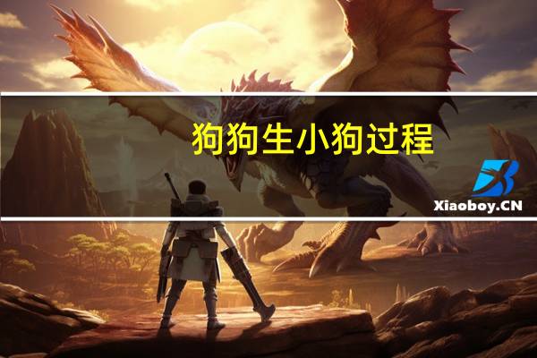 狗狗生小狗过程
