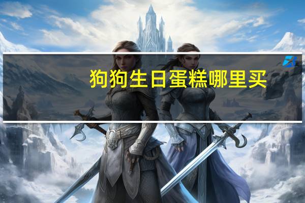 狗狗生日蛋糕哪里买