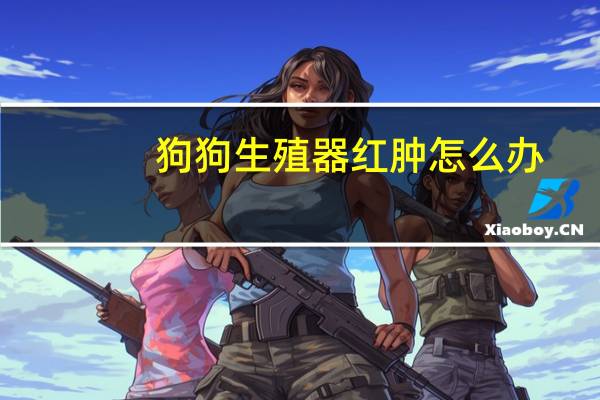狗狗生殖器红肿怎么办