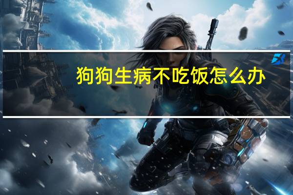 狗狗生病不吃饭怎么办