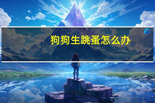 狗狗生跳蚤怎么办