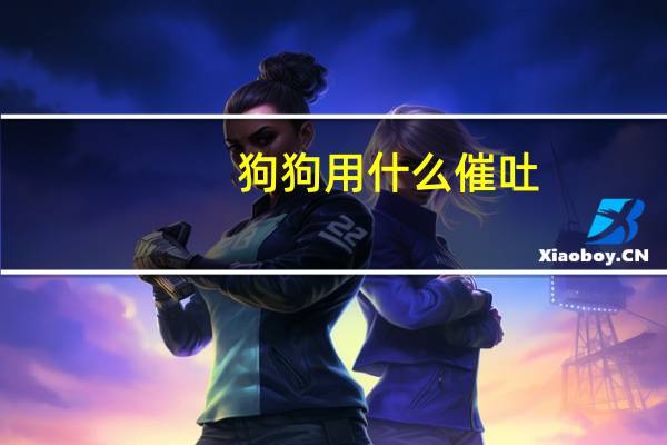 狗狗用什么催吐