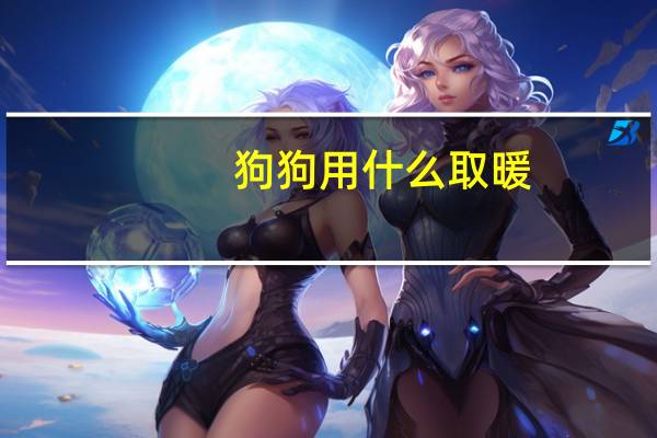 狗狗用什么取暖
