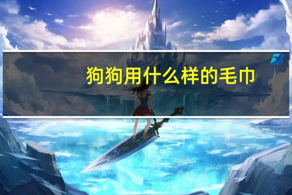 狗狗用什么样的毛巾