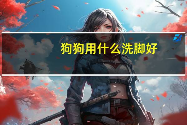 狗狗用什么洗脚好