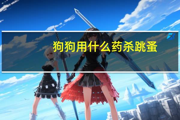 狗狗用什么药杀跳蚤