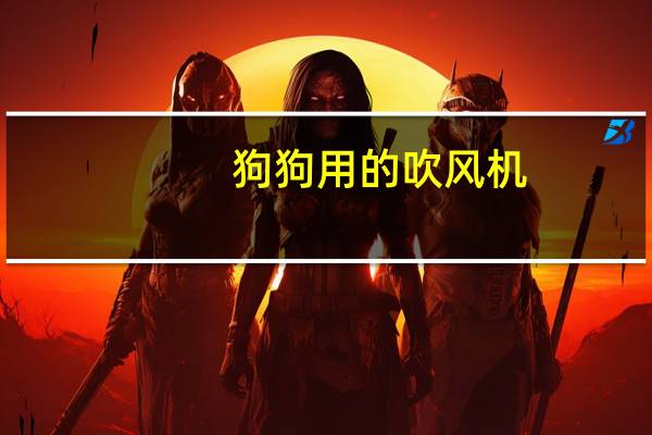 狗狗用的吹风机
